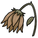 Wilted flower.png